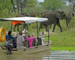 The park is an adventurous tourist place. The tour The park is an adventurous tourist place. The tourists are allowed guided tours to have a look at the wildlife. In addition to animals, it is also ric